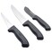 Steelberg Knife Set, 4/5/7 Inch, Turkish - Black