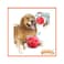 Pawise Shake Me Giggle Dog Toy