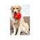 Pawise Shake Me Giggle Dog Toy