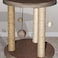 Pawise Cat Furniture Gato Podium, 40L x 40W x 45H cm