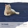 Lightweight Velvet Blanket, 350GSM, Twin Size 230 x 170 cm, Extra Soft All Season Fleece Blanket, Bed And Sofa Blanket, Dark Blue