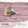 Lightweight Velvet Blanket, 350GSM, Double Size 260 x 240 cm, Extra Soft All Season Fleece Blanket, Bed And Sofa Blanket, Purple Pink