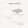 3Piece Microfiber Bedspread Set, Fits 120 x 200 cm Single Size Bed, Single Size Compressed Comforter Set,Light Green