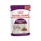 Royal Canin Sensory Smell Chunks in Gravy Cat Food Pouch - 85 g