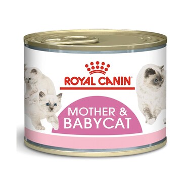 Royal Canin FHN Mother and Babycat Wet Cat Food - 195 g