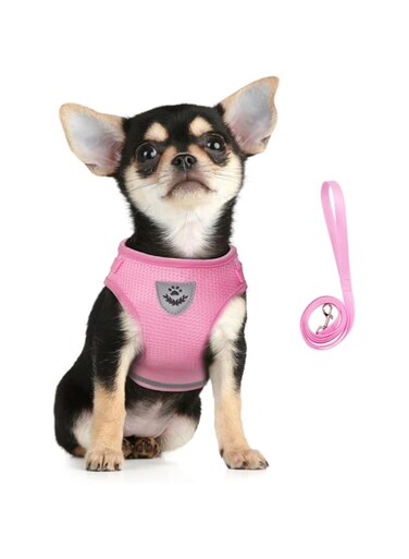 FEimaX No Pull Dog Harness and Leash Set, Soft Mesh Adjustable Lightweight Puppy Harnesses with Reflective Strap, Escape Proof Small Dog Cat Vest for Outdoor Walking