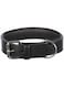 Trixie Active Leather Black Wide Collar for Dogs L-XL