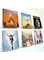 AIFUSI Record Holder Wall Mount, 6 Pack Clear Vinyl Record Shelf Storage Acrylic Album Stand Display Your Daily LP Listening/Book in Office Home
