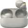 Sony WF-1000XM4 Industry Leading Noise Canceling Truly Wireless Earbud Headphones with Alexa Built-in &ndash; Silver (International Version)