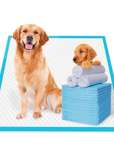 Disposable Pee Pads For Dogs   Absorbent Quick Dry Leak Proof Underpads, Potty Training for Dogs, Cats &amp; Pets Large (60x60 cm)- Pack of 40