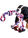 Youngever 3.5 Feet Dog Rope Toys for Aggressive Chewers, Tough Rope Chew Toys for XL, Large and Medium Dog, Indestructible Cotton Rope for Large Breed Dog Tug War Teeth Cleaning (4 Knots Double Rope)
