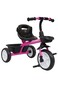 Colorland Tricycle LB‑5544 Pink Ride-On Toy (Ages 2‑4)