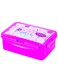 Frozen Find Your Destiny Lunch Box