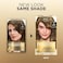 L'Or&eacute;al Paris L'Or&eacute;al Superior Preference - 6 Light Brown (Natural) 1 Each