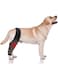 Dog Knee Brace with Adjustable Hinge Stabilizer, Dog ACL Knee Brace Support Osteoarthritis, Made with Premium Quality Neoprene (Black, M)