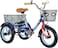 12 inch Trike, Kids Tricycle, Ages 3+ Beginner Riders, Blue
