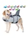 Homodoskey Dog Life Jacket Shark, Ripstop Dog Lifesaver Vests with Rescue Handle for Small Medium and Large Dogs, Pet Safety Swimsuit Preserver for Swimming Pool Beach Boating (Grey, L)