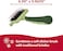 Coastal - Safari - Complete Cat Brush, No Color, One Size (6.50" L x 3.0625" W)