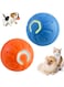 BIGTHREE Interactive Dog Toys Ball, 2 Pcs Motion Interactive Dog Ball, Moving Dog Toys, Interactive Dog Ball Toy, Auto Active Rolling Ball for Dogs, Suit for Small/Medium/Large Dogs Cats