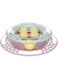Trixie Junior Kitten Circle Toy for Kittens - 24CM