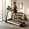 Home Use Treadmill Auto Incline with 10.1" TV Screen &amp; DC 5.0HP Motor