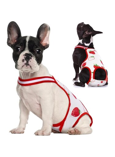 Dog Diapers Female Washable Sanitary Pantie with Adjustable Suspender, Reusable Doggie Period Panties, Pet Underwear Diaper Jumpsuits for Male Dogs in Heat, Puppy Diapers (Red Strawberry, S, count, 1)
