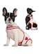 Dog Diapers Female Washable Sanitary Pantie with Adjustable Suspender, Reusable Doggie Period Panties, Pet Underwear Diaper Jumpsuits for Male Dogs in Heat, Puppy Diapers (Red Strawberry, S, count, 1)