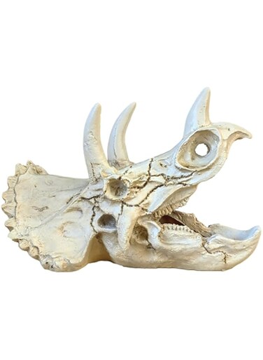 aoliiHou Triceratops Dragon Skull Resin modeling water features home decor resin simulation offering hiding suitable for fish, shrimp, lizards, reptiles, frogs