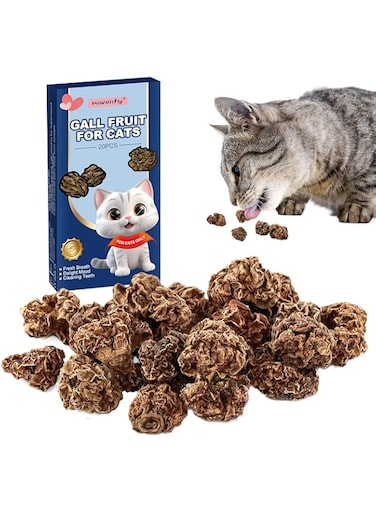 20g Dried Silvervine Gall Fruit, Natural Silver Vine Cat Chew Toy, Matatabi Cat Toy for Dental Cleaning Hard chew Cheer up