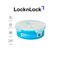 LocknLock Airtight Spice Kit 20cm &ndash; Durable, BPA-Free, and Space-Saving Kitchen Organizer