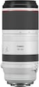 Canon RF 100-500mm F4.5-7.1 L, USM Super-Telephoto Lens