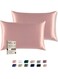 Satin Pillowcase for Hair and Skin, Super Soft and Cooling Similar to Silk Pillow Cases 2 Pack with Envelope Closure, Gift for Women Men(20"x26" Standard Size) (Rose Gold)