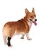 Dog Leg Braces for Back Legs, Canine Hock Brace for Rear Legs,Joint Warps Support Help Hind Legs Injuries Sprains Arthritis Torn (Black, M)