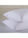 100 GSM Cotton 100% PVC Film With Invisible Zipper Water Proof Terry Pillow Protector 2pc Set Cotton White 50x75cm