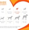 Nylabone Power Chew Bone Chicken Petite Nylon Chew &ndash; Durable Small Dog Chew Toy UAE
