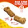 Nylabone Nubz Chicken 2-Count Jumbo &ndash; Large Chicken Dog Treat Chews