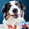 Nylabone Nubz Chicken 2-Count Jumbo &ndash; Large Chicken Dog Treat Chews