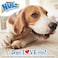 Nylabone Nubz Wild Antler Venison 2-Count Medium &ndash; Edible Venison Dog Treat Chews