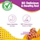 Nylabone Nubz Bacon 2-Count Jumbo &ndash; Edible Bacon Dog Treat Chews for Large Dogs