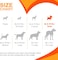 Nylabone Puppy Color-Changing Freezer Bone Lamb &amp; Apple Regular &ndash; Soothing Teething Toy UAE