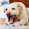 Nylabone Nubz Ham with Bone Broth 1-Count Giant &ndash; Premium Edible Ham Dog Treat