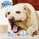 Nylabone Nubz Chicken 1-Count XL &ndash; Extra-Large Edible Chicken Dog Treat