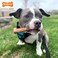 Nylabone Healthy Edibles Meaty Center 4-Count Small &ndash; Edible Small Dog Treat Chews