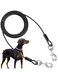 vol 【TTQK】Pet dog steel wire leash double end buckle, anti-bite, very suitable for travel, outdoor activities to walk the dog【3 meters】