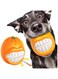 NALACAL Dog Toys, Dog Squeak Chew Toys Tough Ball, Tough Durable Indestructible Dog Toys for Aggressive Chewers Dogs, Interactive Enduring Indestructible Squeaky Toy, Training Fetch, Pet Supplies