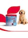 Beaphar Lactol Puppy - 250G