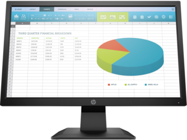 HP P204 19.5-inch Monitor