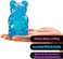 Schylling Needoh Gummy Bear - Sensory Fidget Toy (1 Random PC)