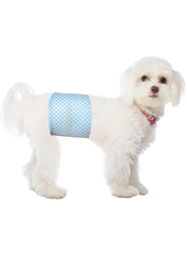 Coodipet Absorbent Male Dog Wrap, Leakproof, Disposable Diapers, Medium, Pack of 10, White/Blue