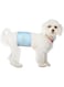 Coodipet Absorbent Male Dog Wrap, Leakproof, Disposable Diapers, Medium, Pack of 10, White/Blue